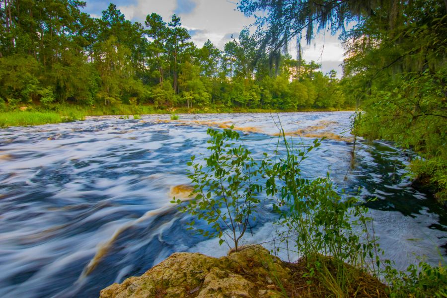 A Guide to Florida’s Best Hiking Trails and Outdoor Activities