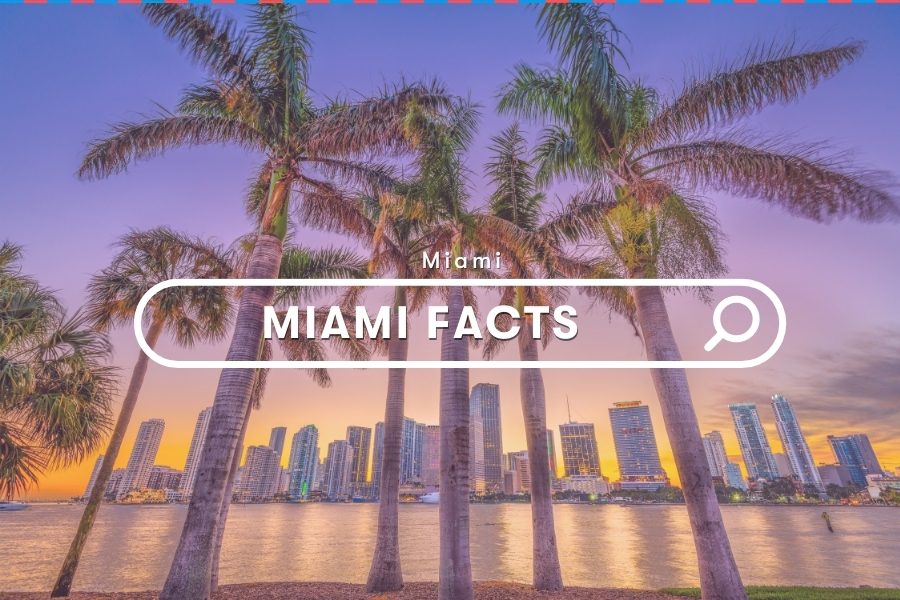 Florida Guides: Facts About Miami That Will Open Your Eyes!