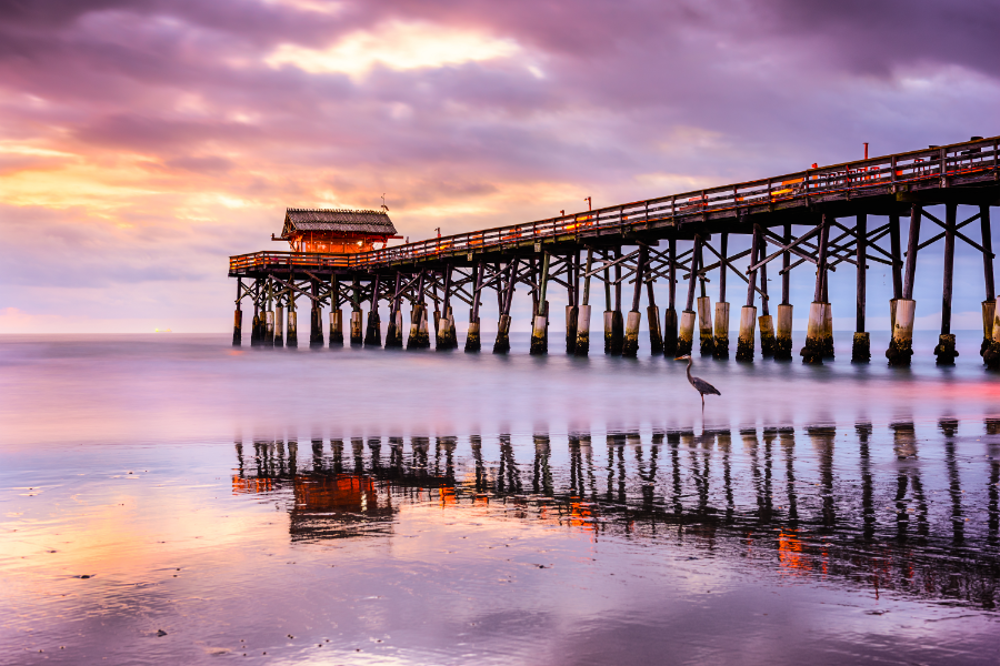 See Florida Your Way On A Scenic Road Trip from Orlando to Miami for Canadian Travellers