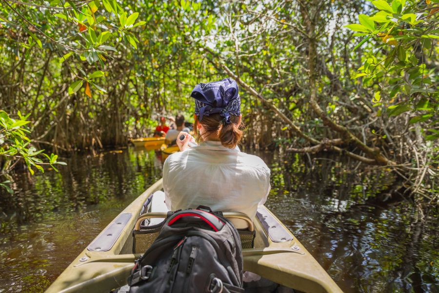 The Best Orlando Adventures Your Family Will Love Beyond the Theme Parks