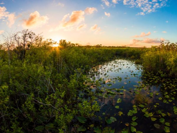 A Guide to Florida’s Best Hiking Trails and Outdoor Activities